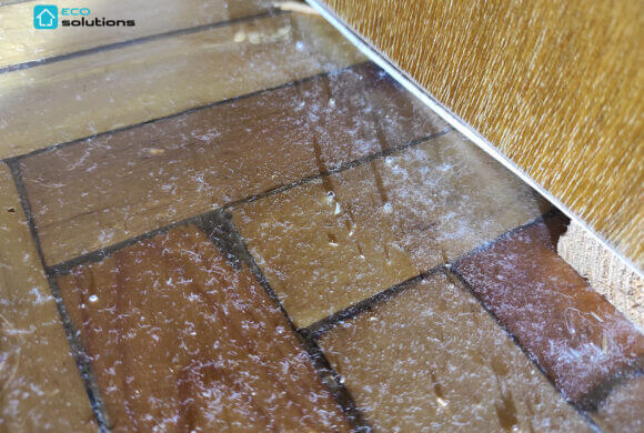 Decontamination of Mercury, Album №3