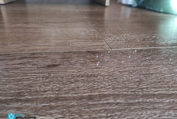 Decontamination of Mercury, Album №4