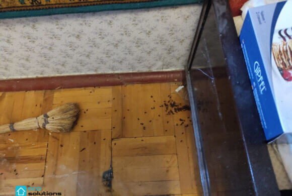 Odor Removal, Album №2