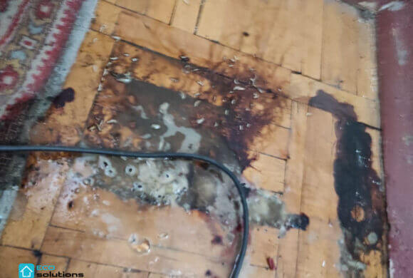 Odor Removal, Album №2