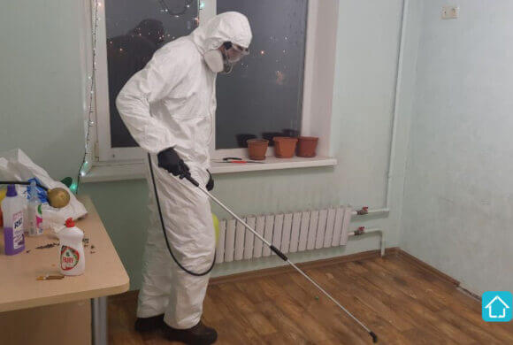 Premises Disinfection, Album №2