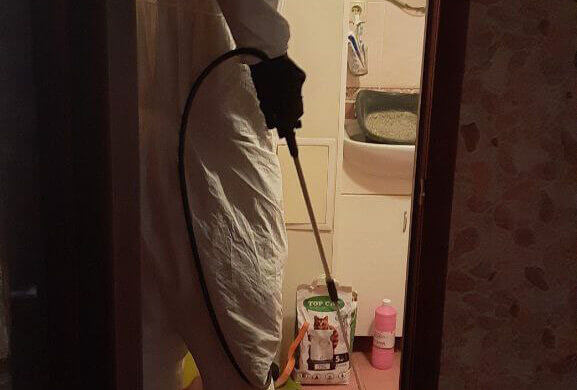 Premises Disinfection, Album №2