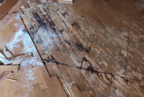 Post-Mortem Cleaning, Album №3