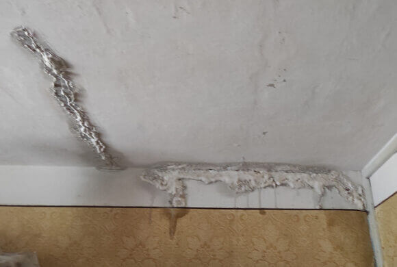 Post-Mortem Cleaning, Album №3