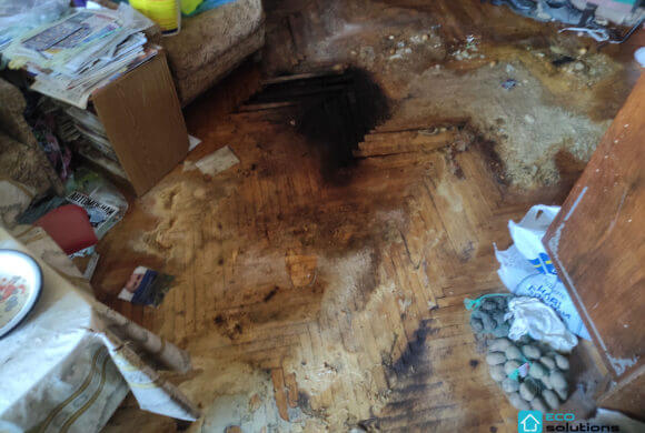 Post-Mortem Cleaning, Album №1