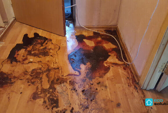 Post-Mortem Cleaning, Album №5