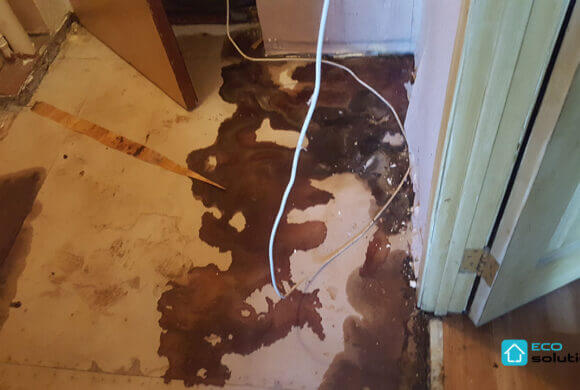Post-Mortem Cleaning, Album №5