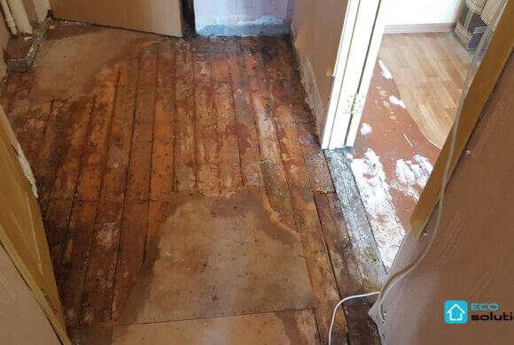 Post-Mortem Cleaning, Album №5
