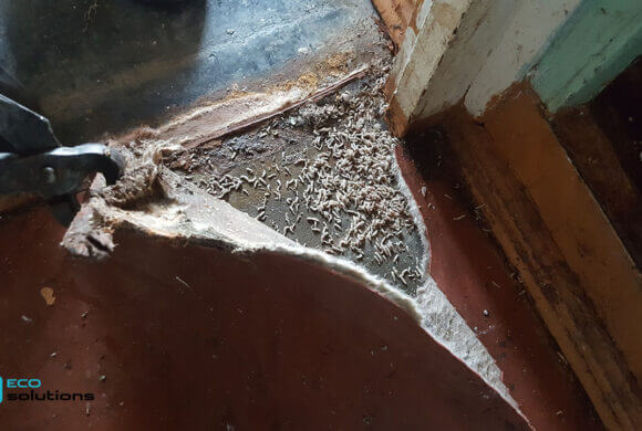Post-Mortem Cleaning, Album №4