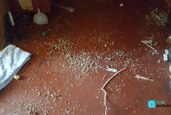 Post-Mortem Cleaning, Album №4