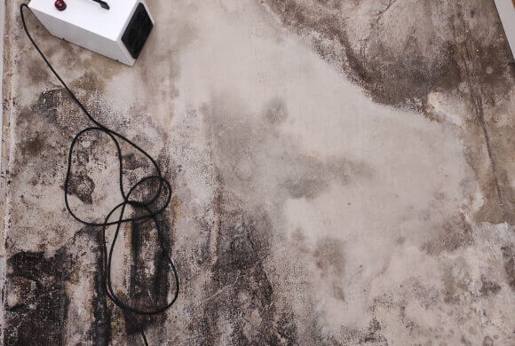 Post-Flood Cleaning, Album №2