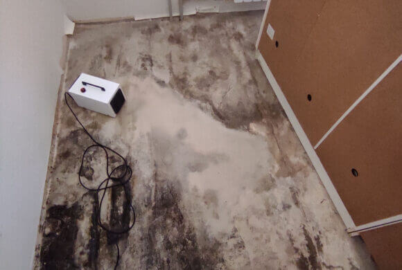 Post-Flood Cleaning, Album №2