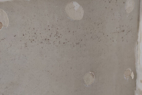 Post-Flood Cleaning, Album №1