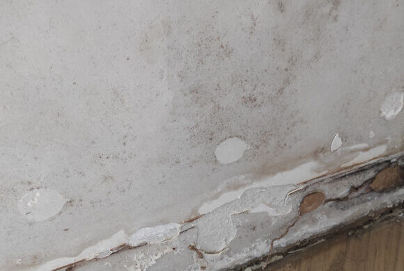 Post-Flood Cleaning, Album №1