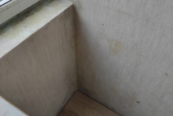Mold Removal, Album №3 Mold Removal, Album №3