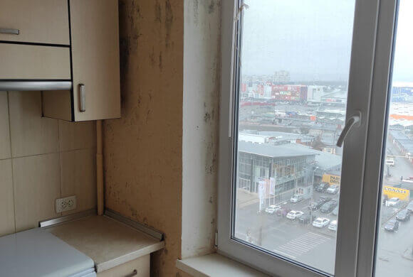 Mold Removal, Album №11