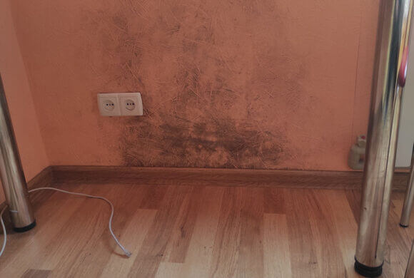 Mold Removal, Album №10 Mold Removal, Album №10