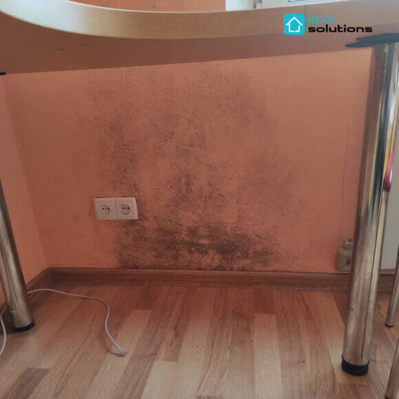 Mold Removal Service, Album No. 10