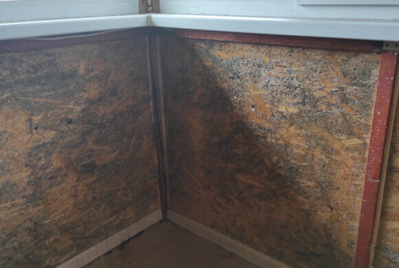 Mold Removal, Album №7