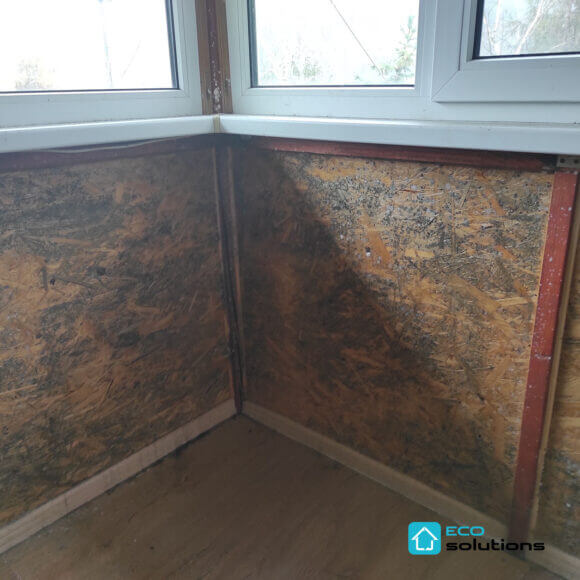 Mold Removal Service, Album No. 7