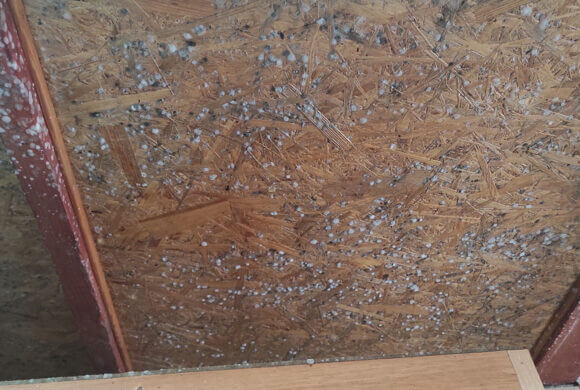 Mold Removal, Album №7