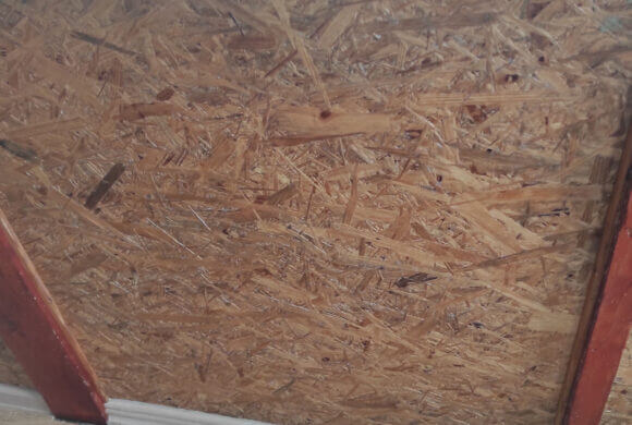 Mold Removal, Album №7