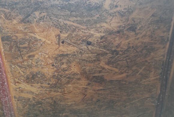 Mold Removal, Album №7