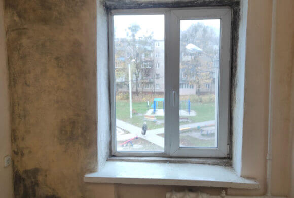 Mold Removal, Album №9