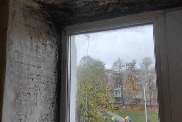 Mold Removal, Album №9