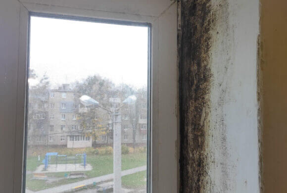 Mold Removal, Album №9