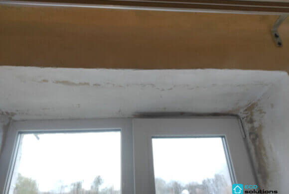 Mold Removal, Album №9