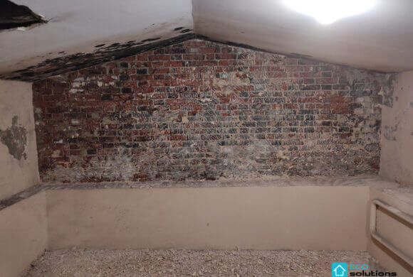 Mold Removal, Album №8