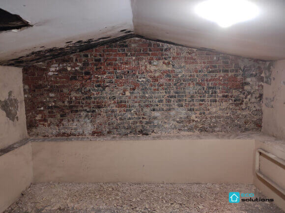 Mold Removal Service, Album No. 8