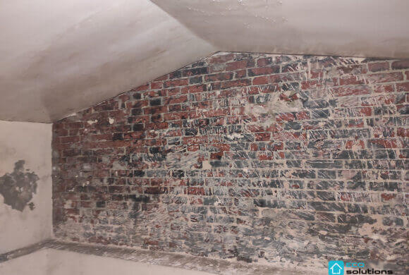 Mold Removal, Album №8