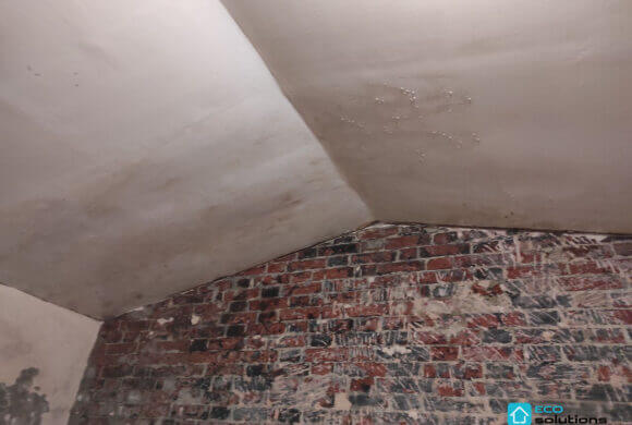Mold Removal, Album №8