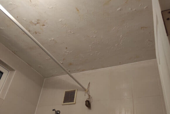 Mold Removal, Album №2
