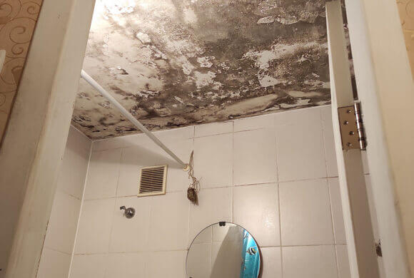 Mold Removal, Album №2